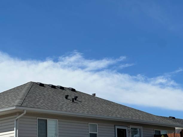 Best Metal Roofing Installation  in Baird, TX
